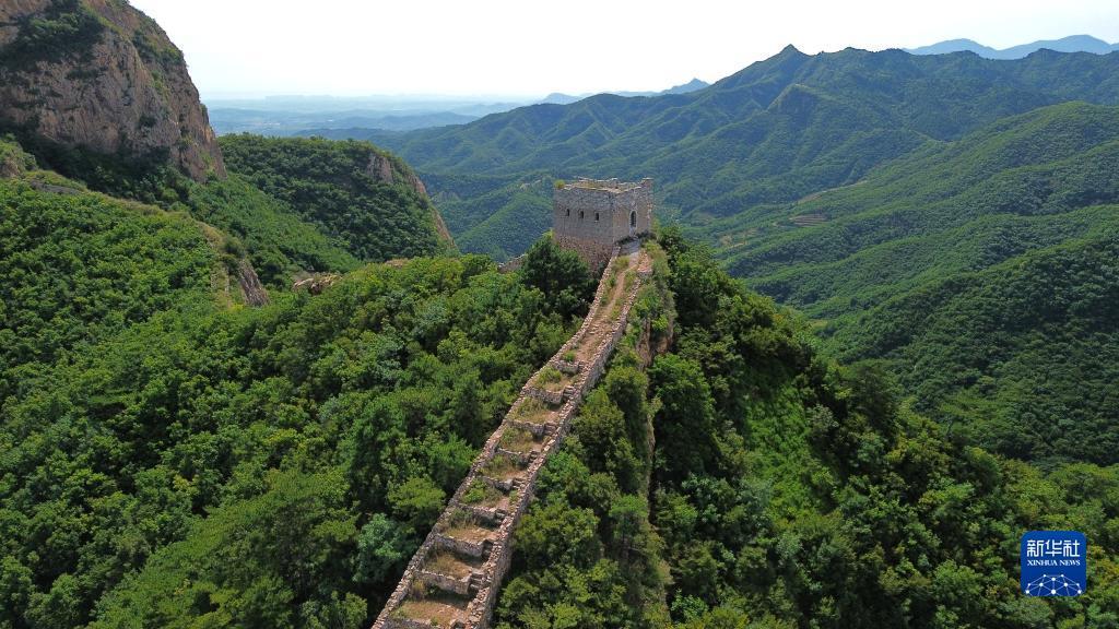 斗地主单机游戏免费版